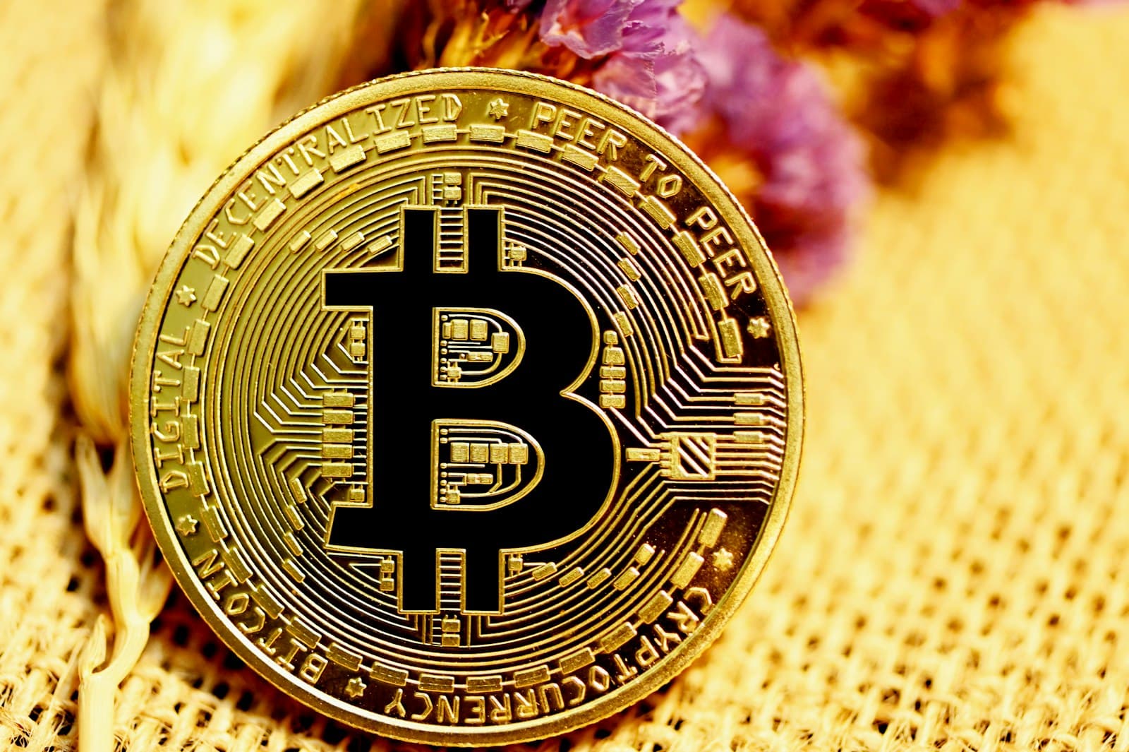 Designing crypto wallets for first-time users. hero